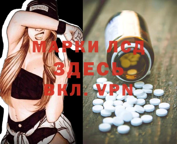 ПСИЛОЦИБИНОВЫЕ ГРИБЫ Армянск