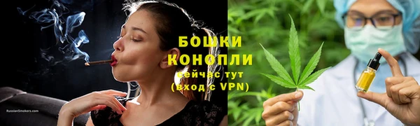 крисы Арсеньев