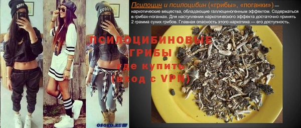 ПСИЛОЦИБИНОВЫЕ ГРИБЫ Армянск