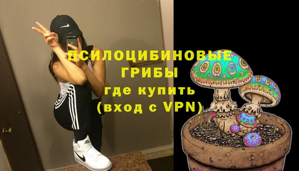 a pvp Алексин