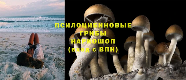 крисы Арсеньев
