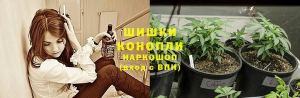 крисы Арсеньев